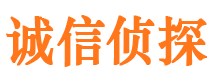 江口市私家侦探